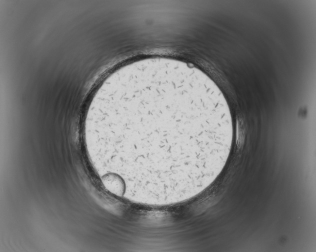 X0000114540204200911301209