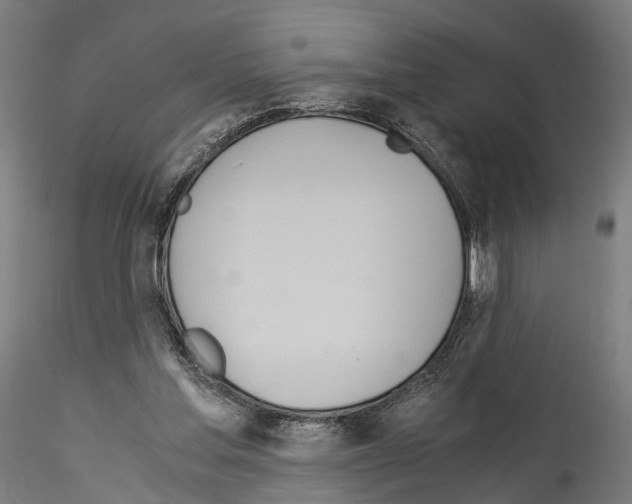 X0000114540205200911301209