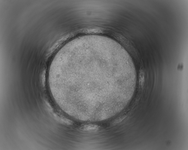 X0000114540206200911301209