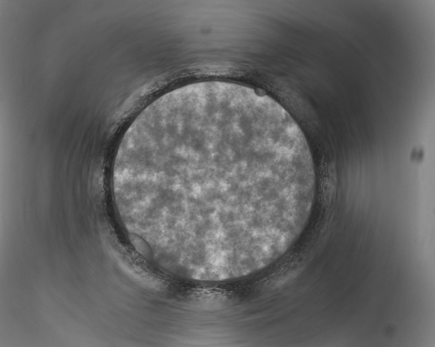 X0000114540207200911301209