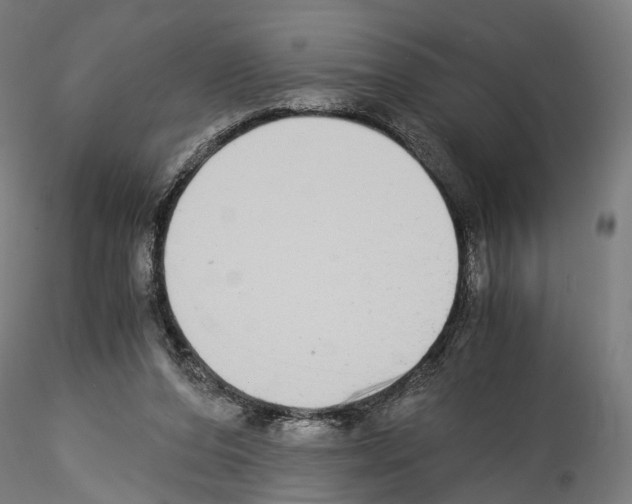 X0000114540208200911301209