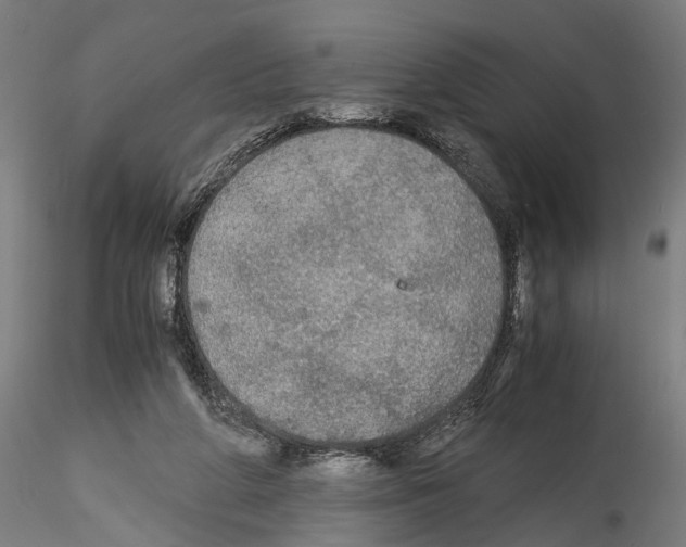 X0000114540210200911301209