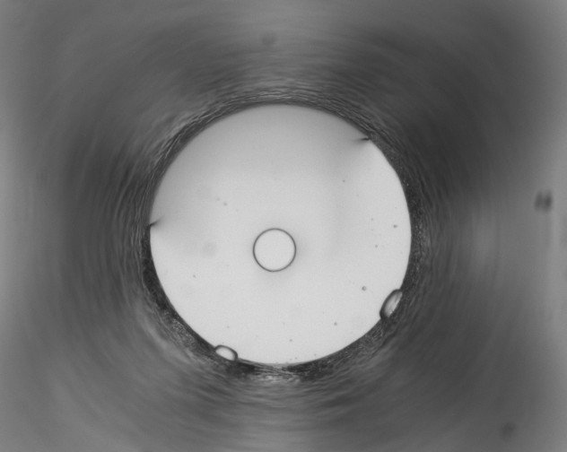 X0000114540215200911301209