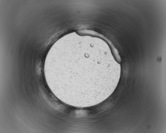 X0000114540216200911301209