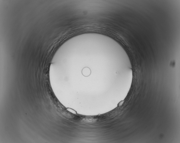 X0000114540217200911301209