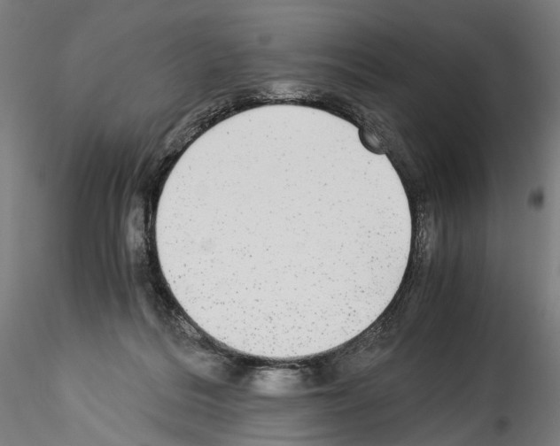 X0000114540220200911301209