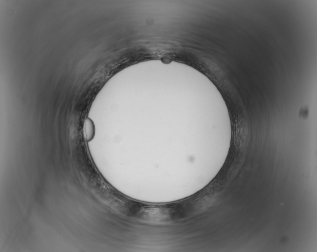 X0000114540221200911301209