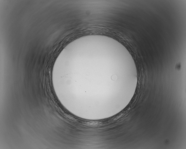 X0000114540225200911301209