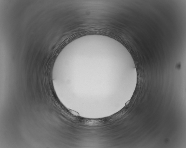 X0000114540229200911301209