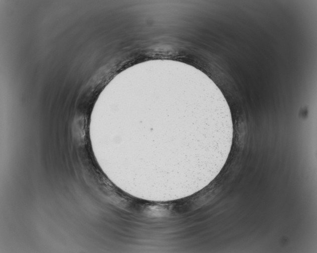 X0000114540232200911301209