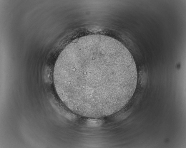 X0000114540234200911301209