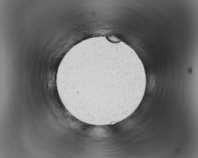 X0000114540236200911301209