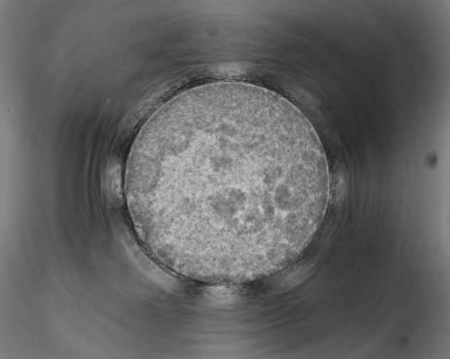 X0000114540238200911301209