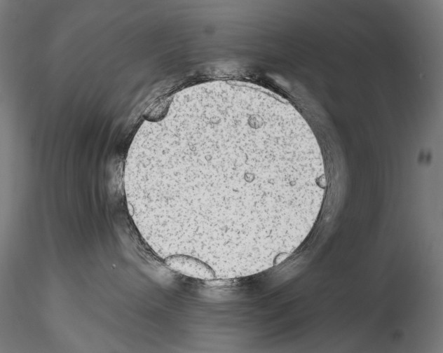 X0000114540240200911301209