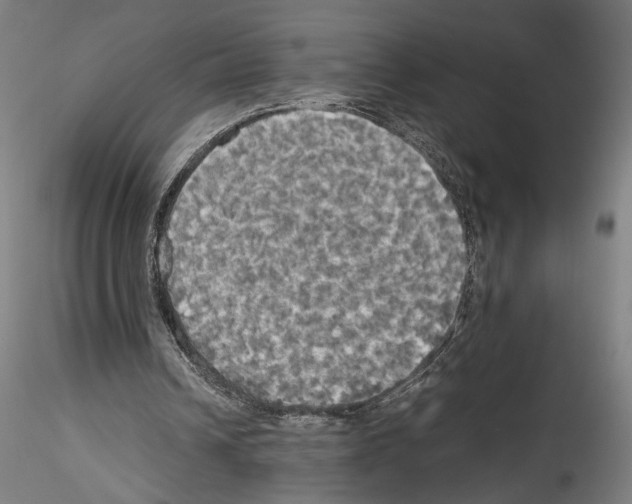 X0000114540242200911301208