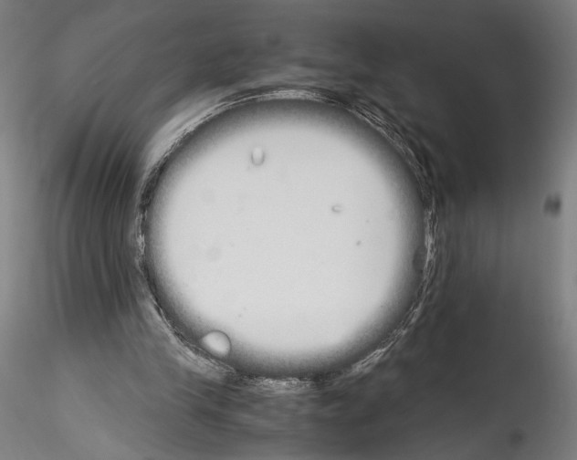 X0000114540245200911301208