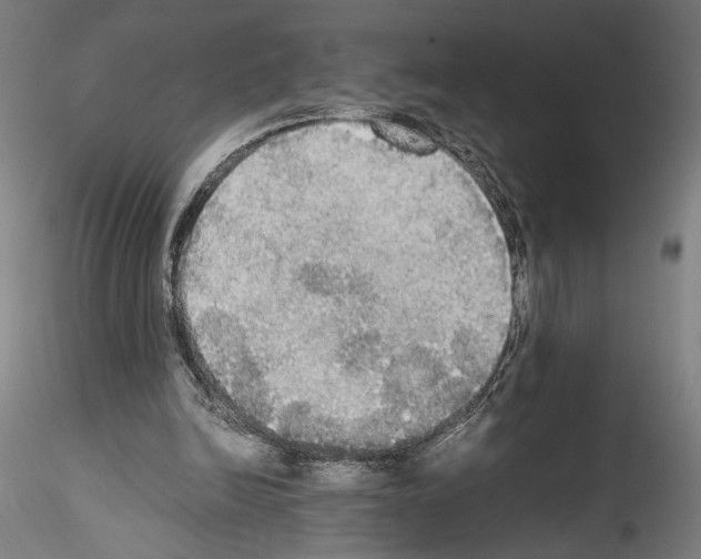 X0000114540246200911301208