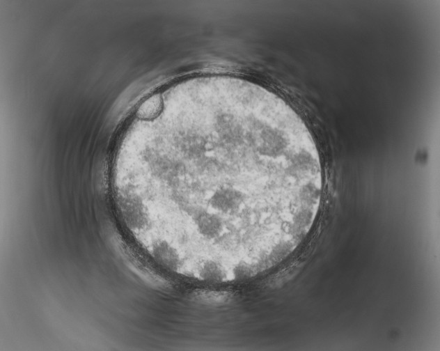 X0000114540247200911301208