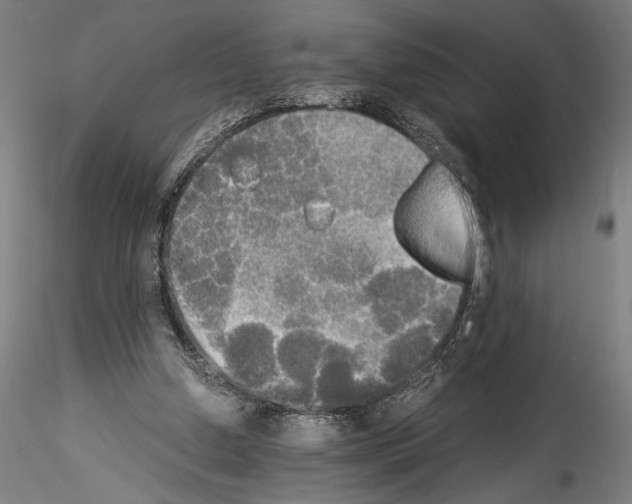 X0000114540250200911301208