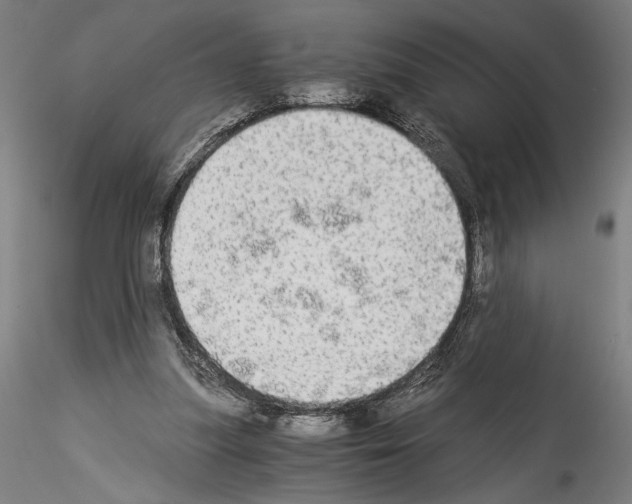 X0000114540251200911301208