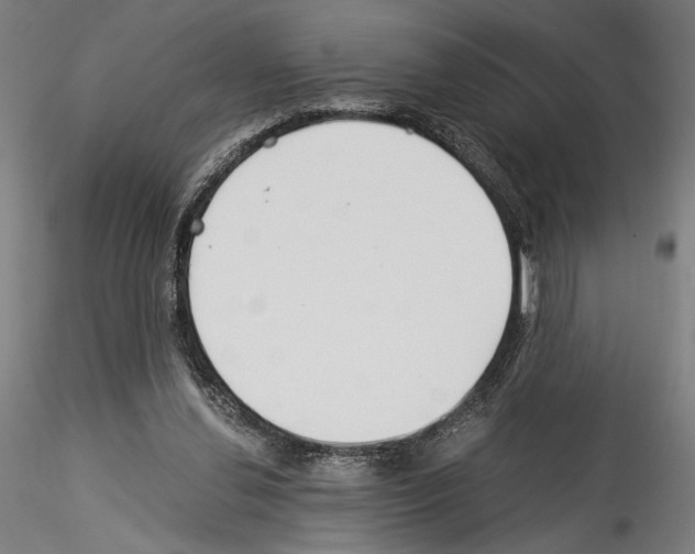 X0000114540252200911301208