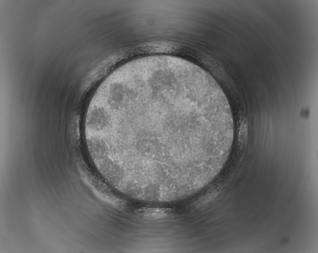 X0000114540254200911301208