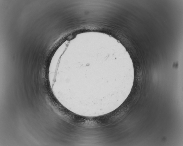 X0000114540256200911301208