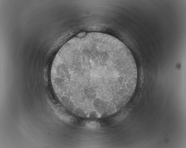 X0000114540258200911301208