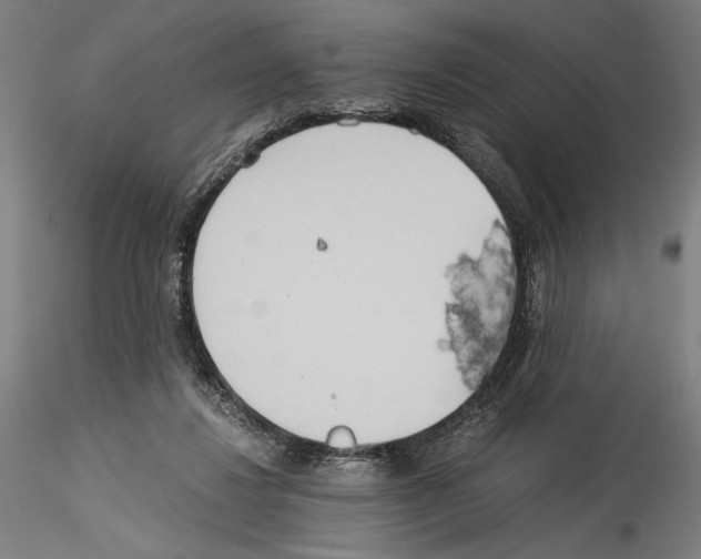 X0000114540260200911301208