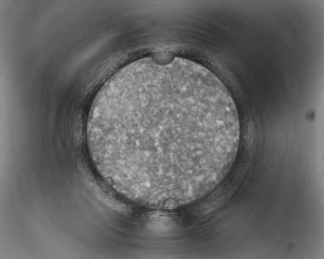 X0000114540261200911301208