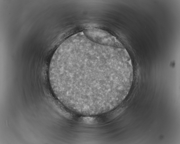 X0000114540265200911301208