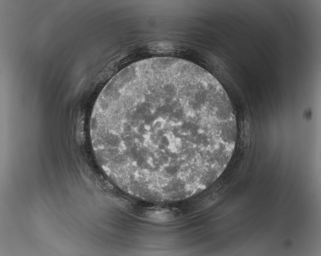 X0000114540267200911301208