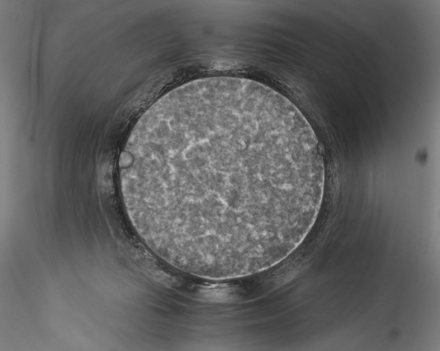 X0000114540269200911301208