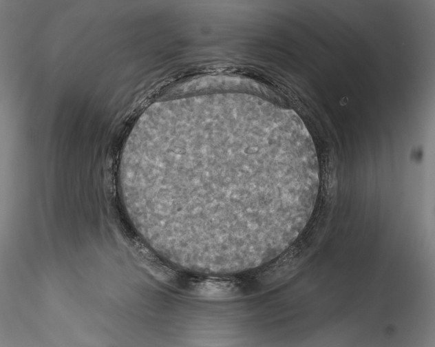 X0000114540270200911301208