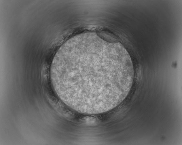 X0000114540272200911301209