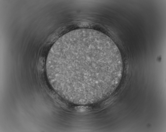 X0000114540273200911301209