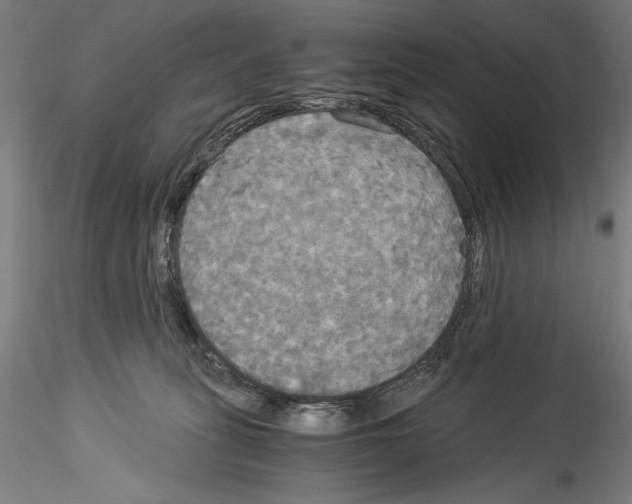 X0000114540275200911301209