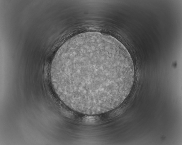 X0000114540277200911301209