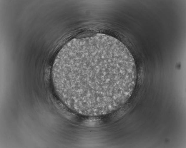 X0000114540278200911301209