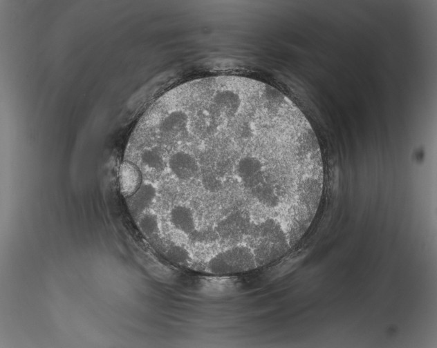 X0000114540281200911301209