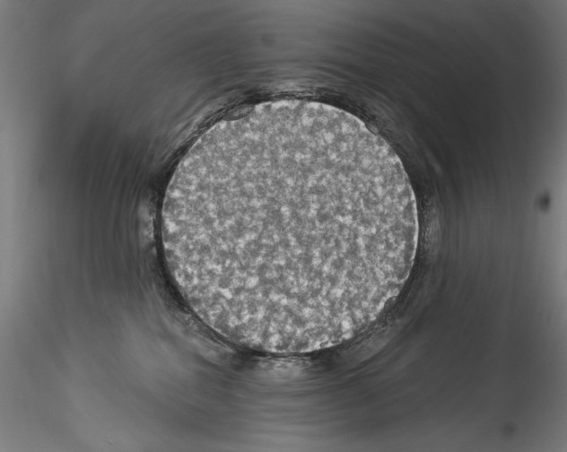 X0000114540282200911301209