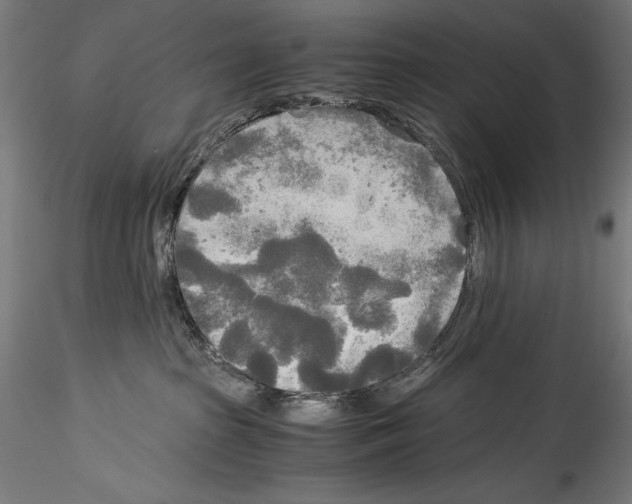 X0000114540285200911301209