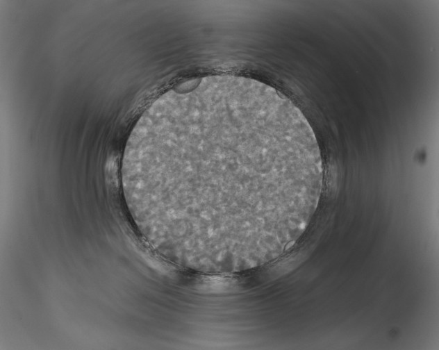 X0000114540286200911301209