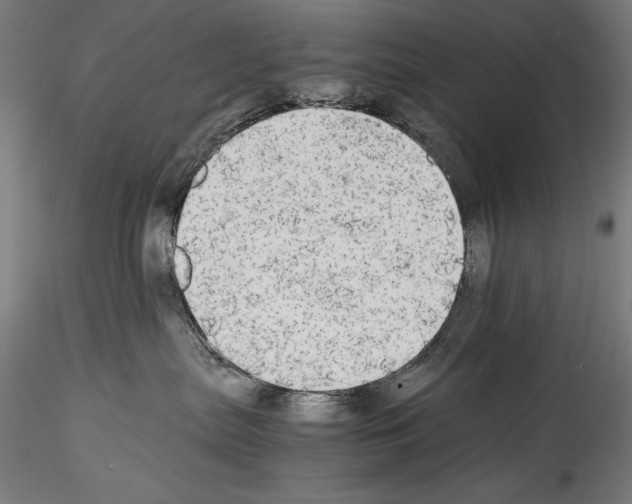 X0000114540287200911301209