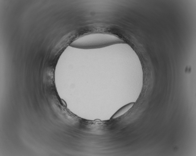 X0000114540288200911301209