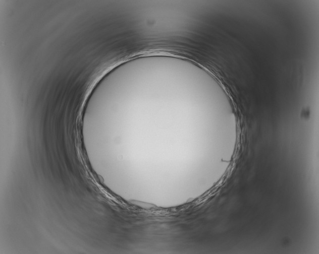 X0000114540289200911301208