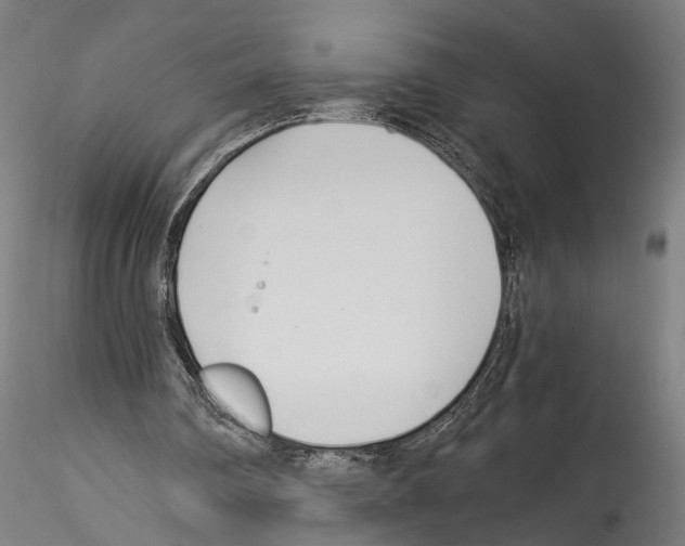 X0000114540290200911301208