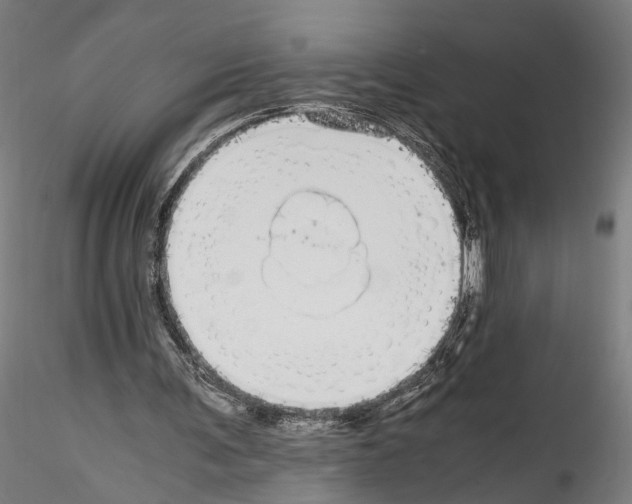 X0000114540291200911301208