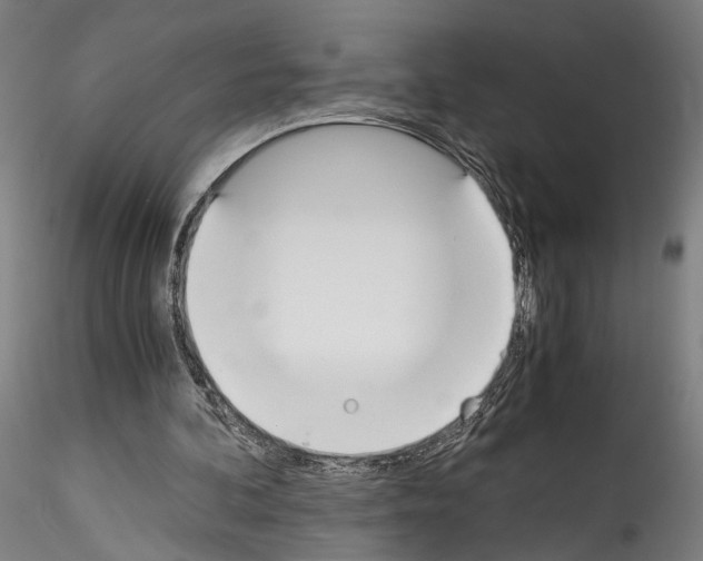 X0000114540292200911301208