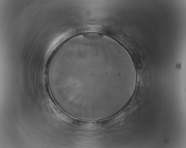 X0000114540293200911301208